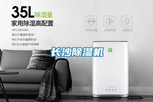 长沙猫咪成人官网