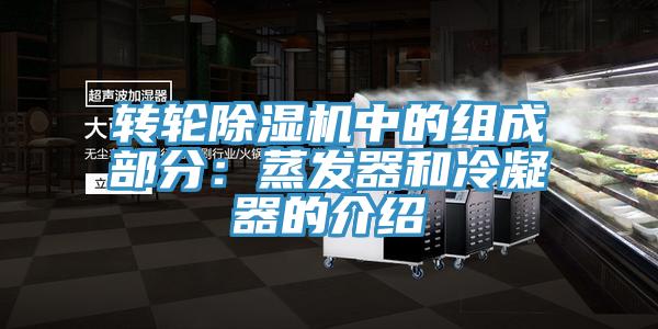 转轮猫咪成人官网中的组成部分：蒸发器和冷凝器的介绍