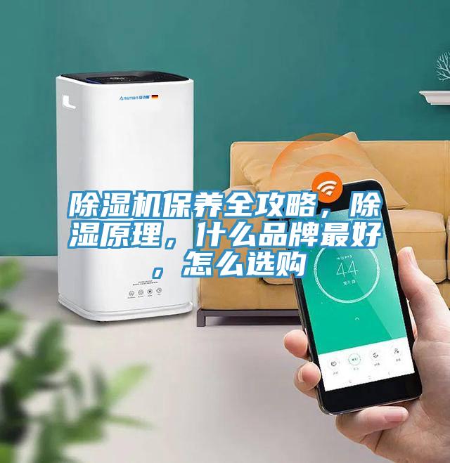 猫咪成人官网保养全攻略，除湿原理，什么品牌最好，怎么选购