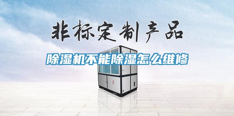 猫咪成人官网不能除湿怎么维修