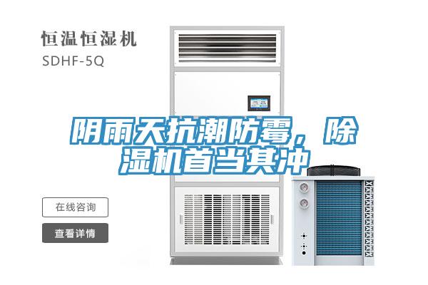 阴雨天抗潮防霉，猫咪成人官网首当其冲