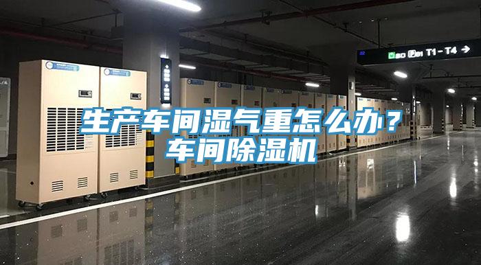 生产车间湿气重怎么办？车间猫咪成人官网
