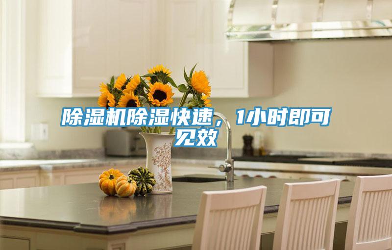 猫咪成人官网除湿快速，1小时即可见效