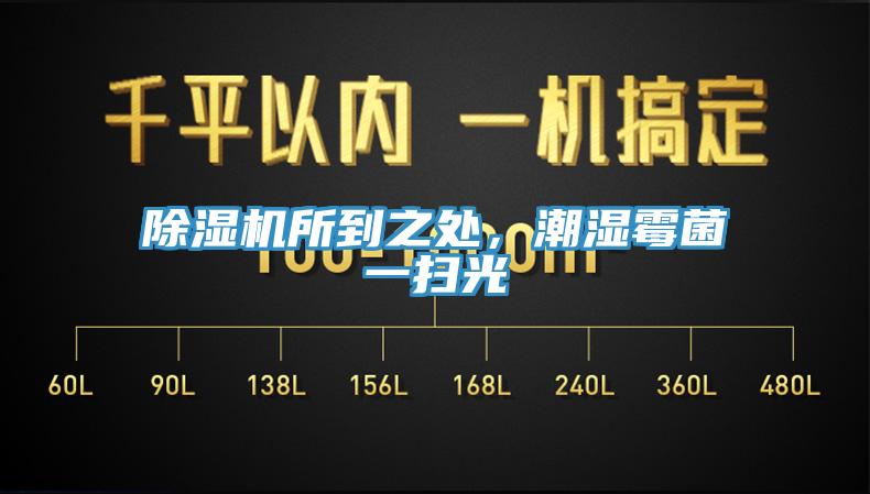 猫咪成人官网所到之处，潮湿霉菌一扫光