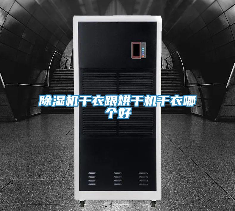 猫咪成人官网干衣跟烘干机干衣哪个好