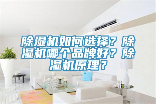 猫咪成人官网如何选择？猫咪成人官网哪个品牌好？猫咪成人官网原理？