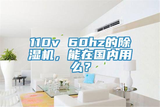 110v 60hz的猫咪成人官网，能在国内用么？