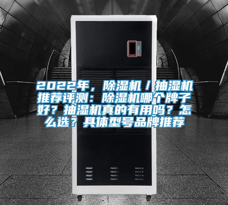 2022年，猫咪成人官网／抽湿机推荐评测：猫咪成人官网哪个牌子好？抽湿机真的有用吗？怎么选？具体型号品牌推荐