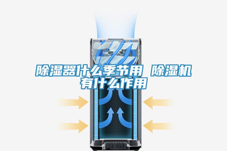 除湿器什么季节用 猫咪成人官网有什么作用