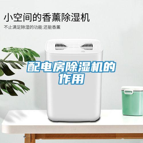配电房猫咪成人官网的作用