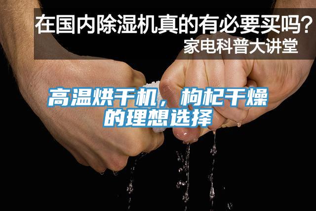 高温烘干机，枸杞干燥的理想选择