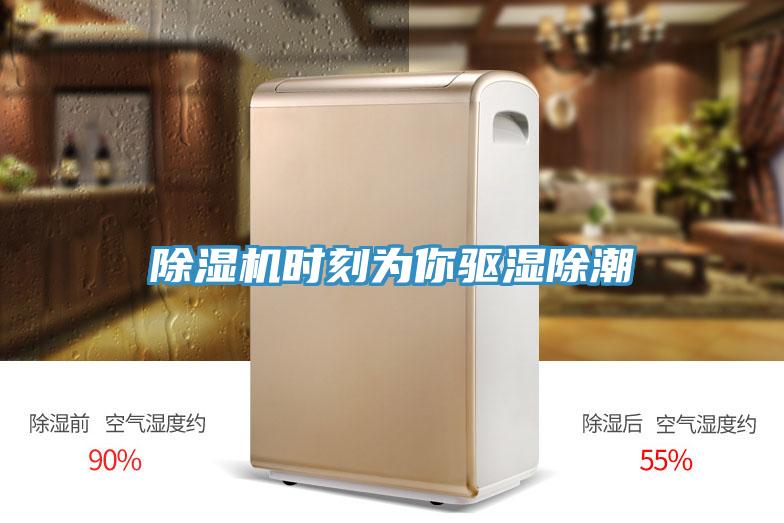 猫咪成人官网时刻为你驱湿除潮