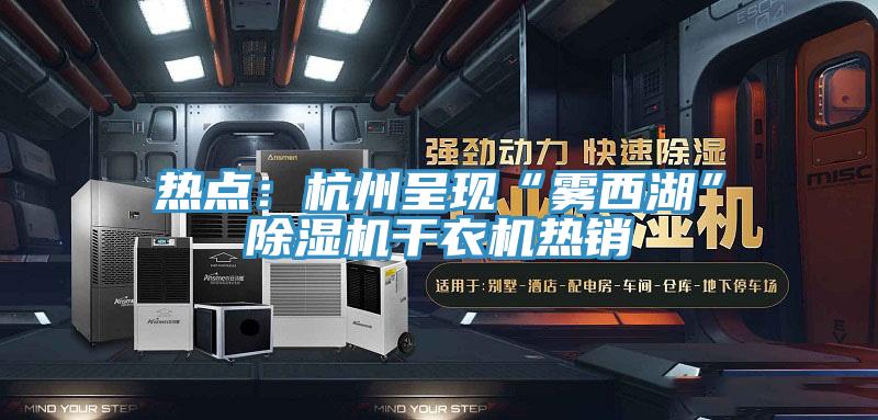 热点：杭州呈现“雾西湖”猫咪成人官网干衣机热销