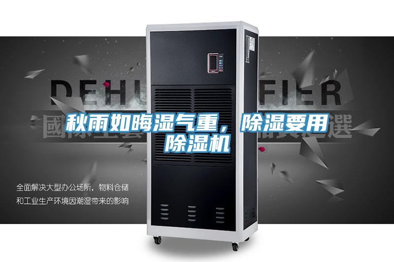 秋雨如晦湿气重，除湿要用猫咪成人官网