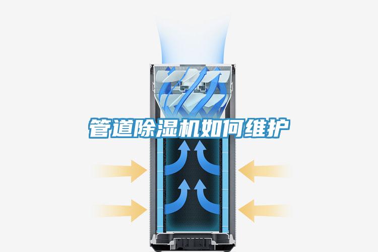 管道猫咪成人官网如何维护