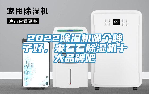 2022猫咪成人官网哪个牌子好，来看看猫咪成人官网十大品牌吧