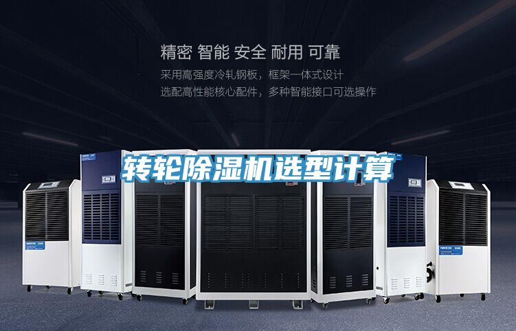 转轮猫咪成人官网选型计算