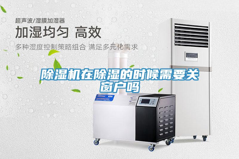 猫咪成人官网在除湿的时候需要关窗户吗