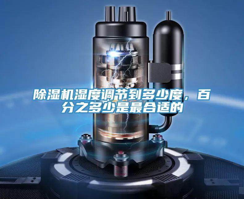 猫咪成人官网湿度调节到多少度，百分之多少是最合适的