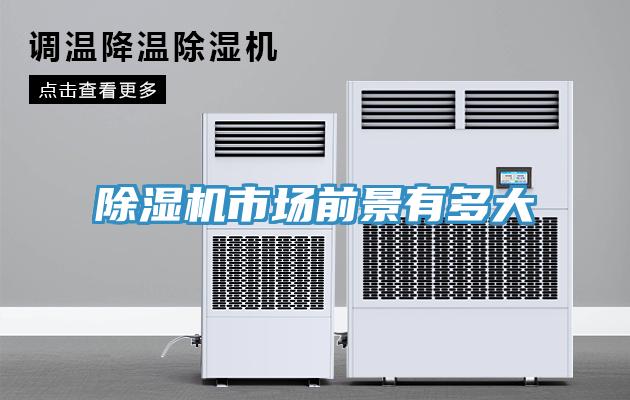 猫咪成人官网市场前景有多大