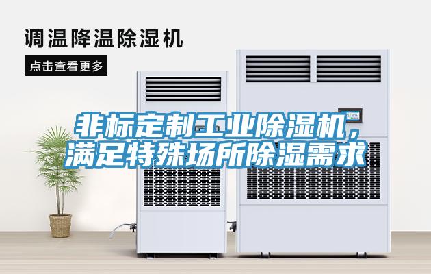 非标定制工业猫咪成人官网，满足特殊场所除湿需求
