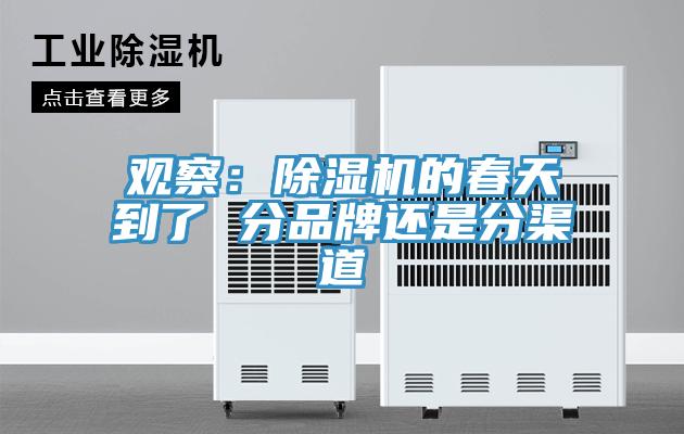 观察：猫咪成人官网的春天到了 分品牌还是分渠道