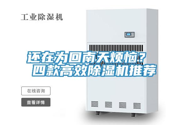 还在为回南天烦恼？ 四款高效猫咪成人官网推荐