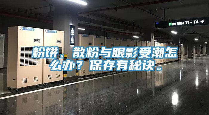 粉饼、散粉与眼影受潮怎么办？保存有秘诀。