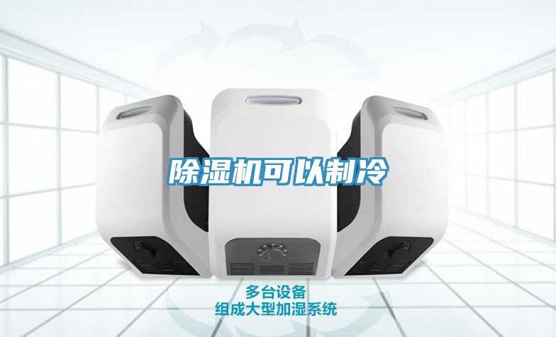 猫咪成人官网可以制冷