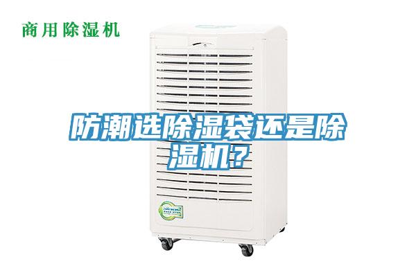 防潮选除湿袋还是猫咪成人官网？