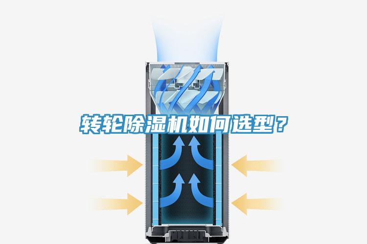 转轮猫咪成人官网如何选型？