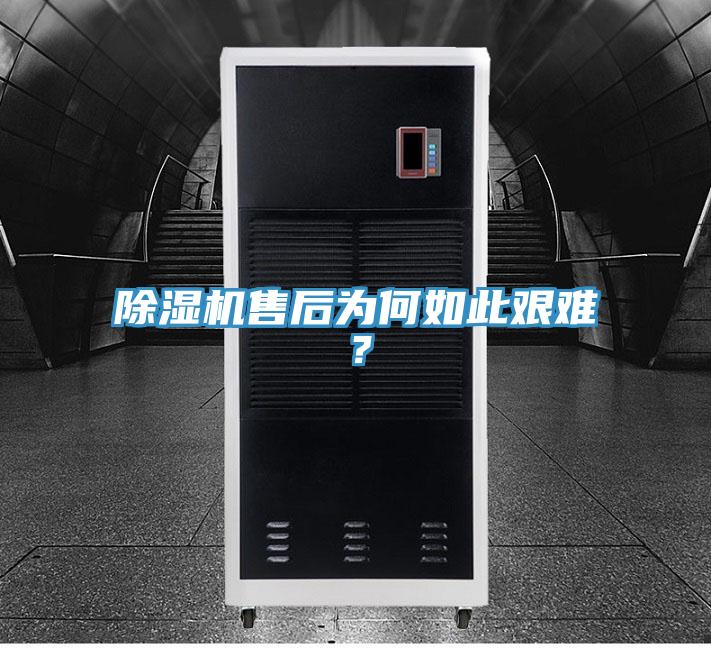 猫咪成人官网售后为何如此艰难？