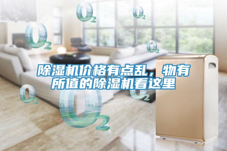 猫咪成人官网价格有点乱，物有所值的猫咪成人官网看这里