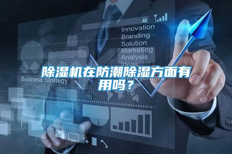 猫咪成人官网在防潮除湿方面有用吗？