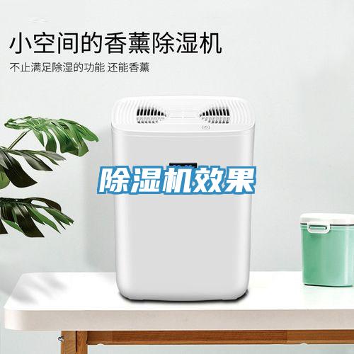 猫咪成人官网效果