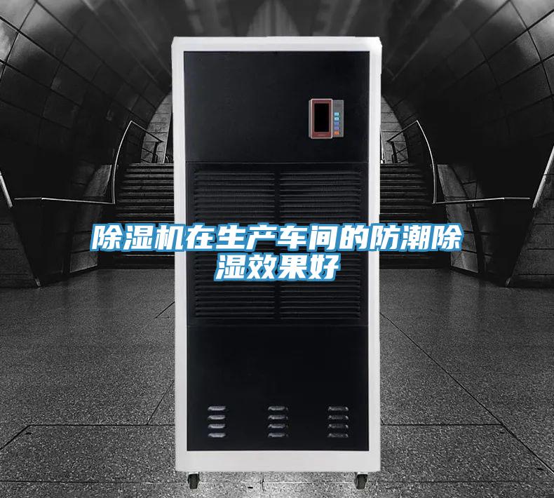 猫咪成人官网在生产车间的防潮除湿效果好
