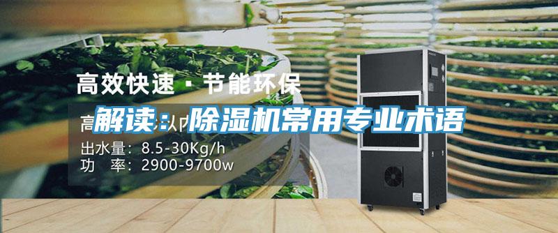 解读：猫咪成人官网常用专业术语