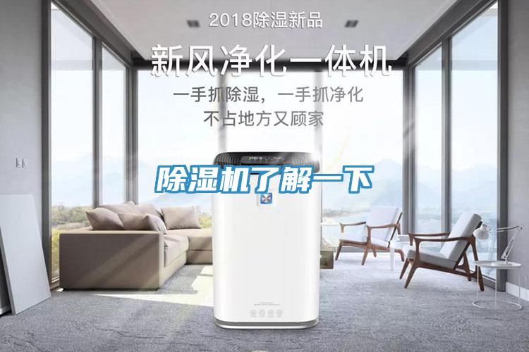 猫咪成人官网了解一下