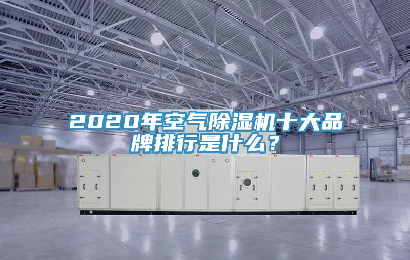 2020年空气猫咪成人官网十大品牌排行是什么？