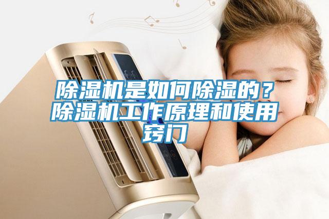 猫咪成人官网是如何除湿的？猫咪成人官网工作原理和使用窍门