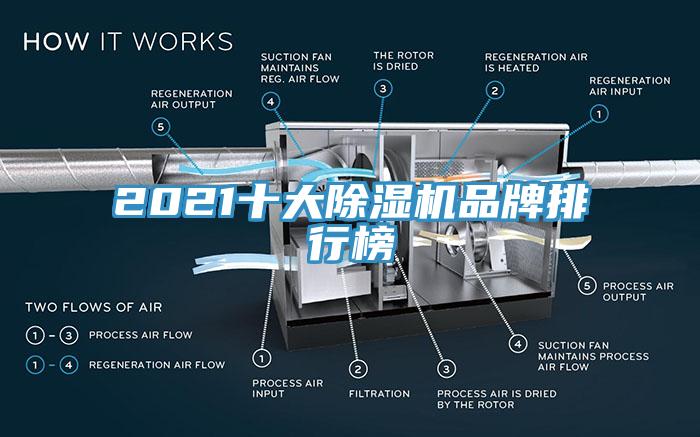 2021十大猫咪成人官网品牌排行榜