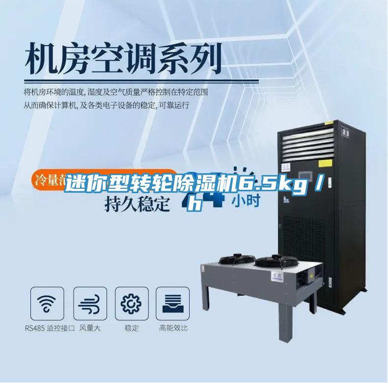 迷你型转轮猫咪成人官网6.5kg／h