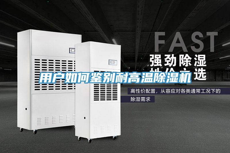 用户如何鉴别耐高温猫咪成人官网