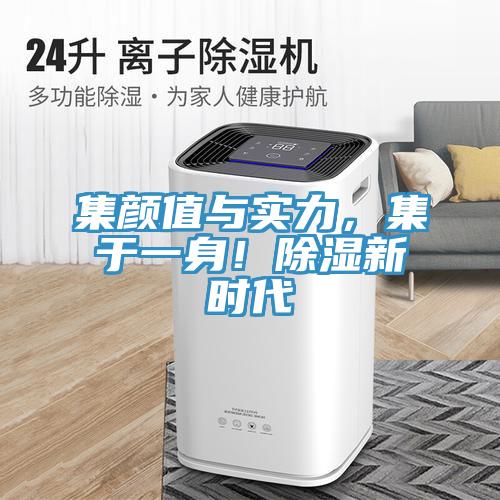 集颜值与实力，集于一身！除湿新时代