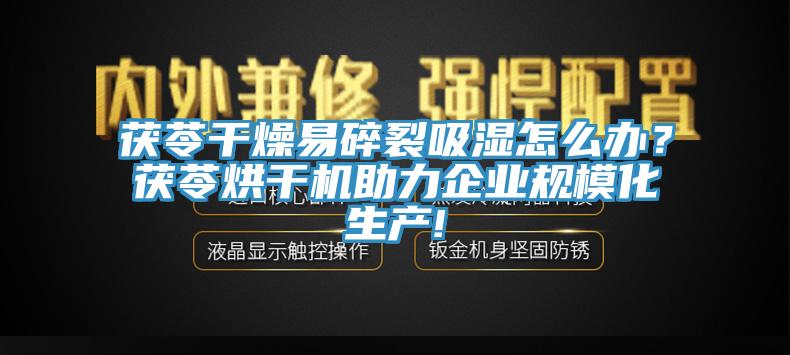 茯苓干燥易碎裂吸湿怎么办？茯苓烘干机助力企业规模化生产!