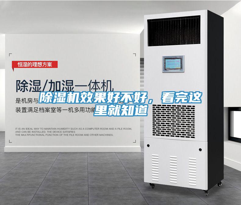 猫咪成人官网效果好不好，看完这里就知道