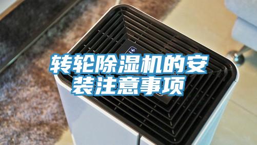 转轮猫咪成人官网的安装注意事项