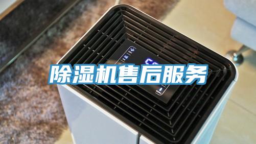 猫咪成人官网售后服务