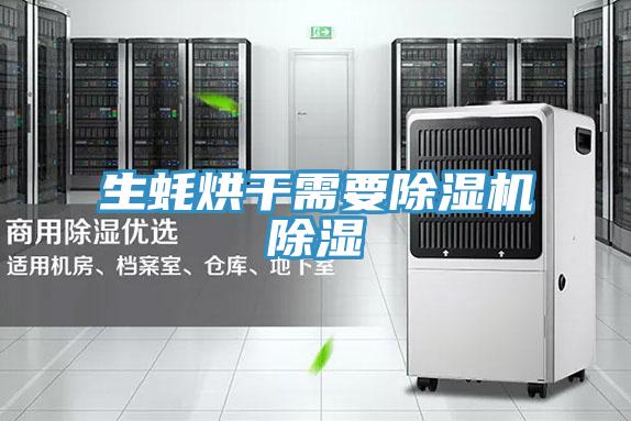 生蚝烘干需要猫咪成人官网除湿
