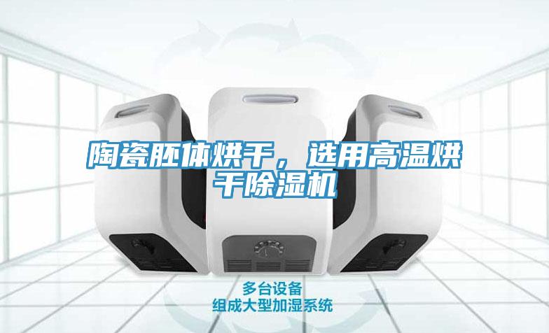 陶瓷胚体烘干，选用高温烘干猫咪成人官网